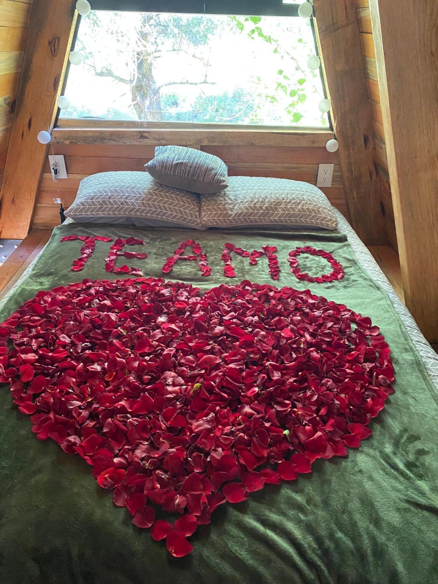 Cabanas Alpina, Romantica Y Acogedora A 10 Minutos Del Centro Tepoztlan Ngoại thất bức ảnh